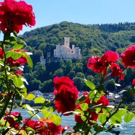 Villa Lahr Lahr  エクステリア 写真