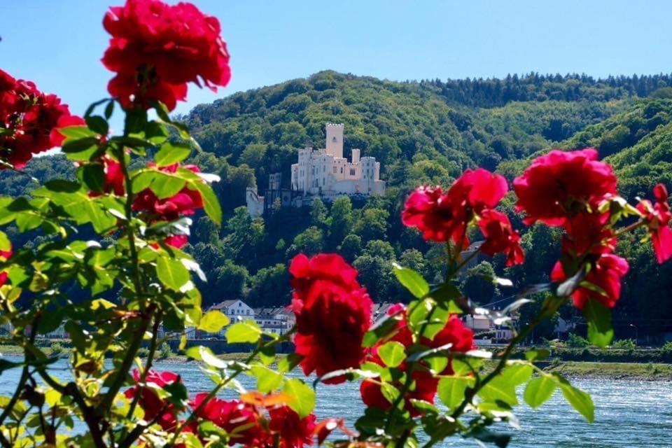 Villa Lahr Lahr  エクステリア 写真